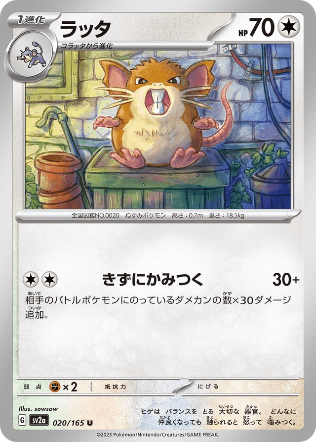 Parasect, Raticate, Stiff Band, and Other Cards Revealed from SV2a ‘Pokemon Card 151’!