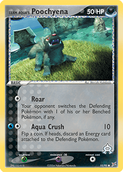 Card: Team Aqua's Poochyena