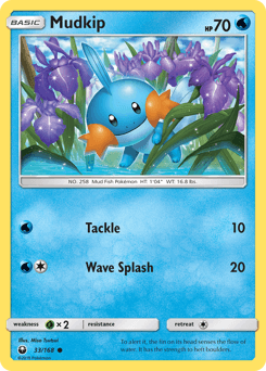 Card: Mudkip