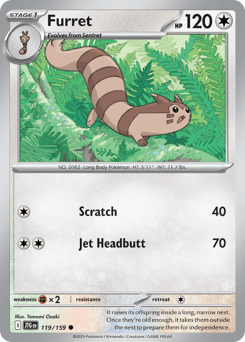 Card: Furret