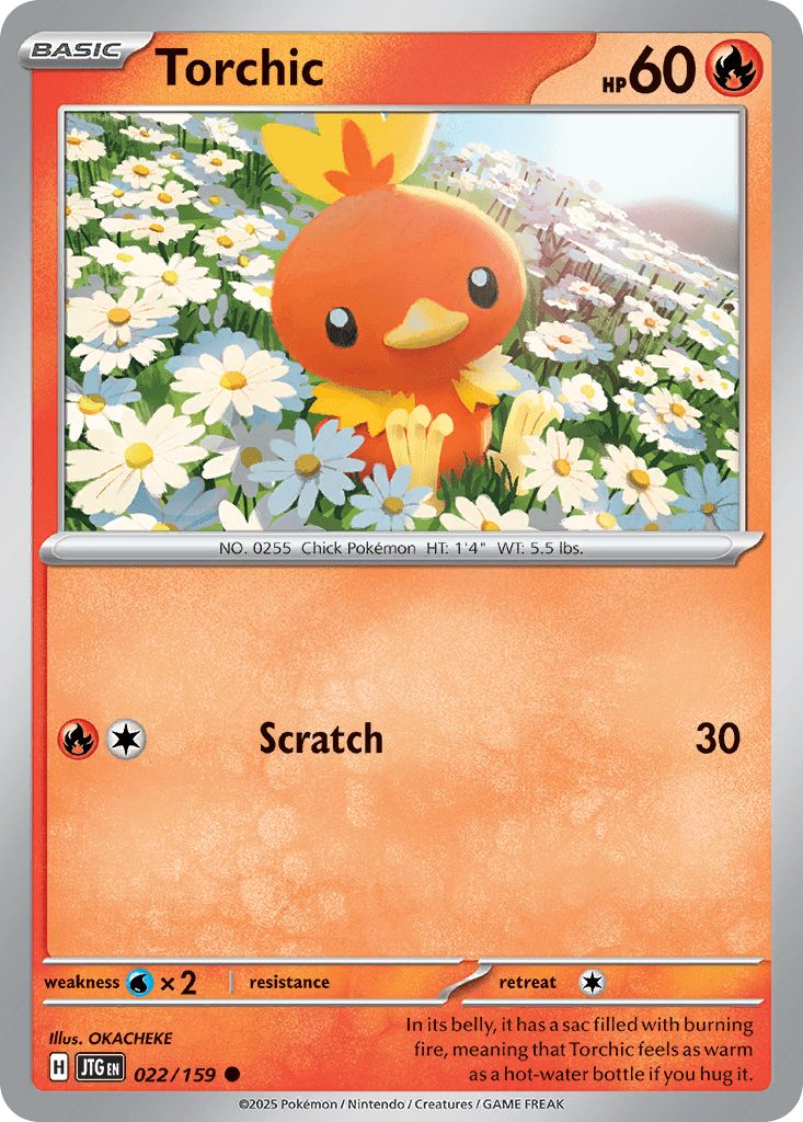 Torchic