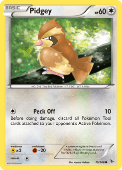 Card: Pidgey