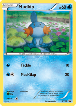 Card: Mudkip
